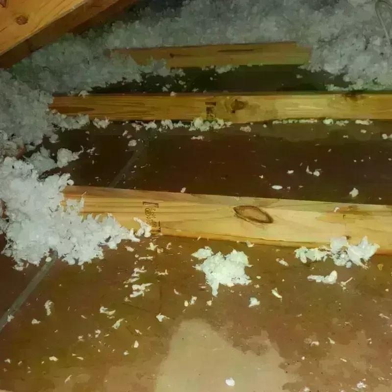 Attic Water Damage in Peru, ME